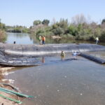 Tuolumne River Regional Park Modesto, CA 2023