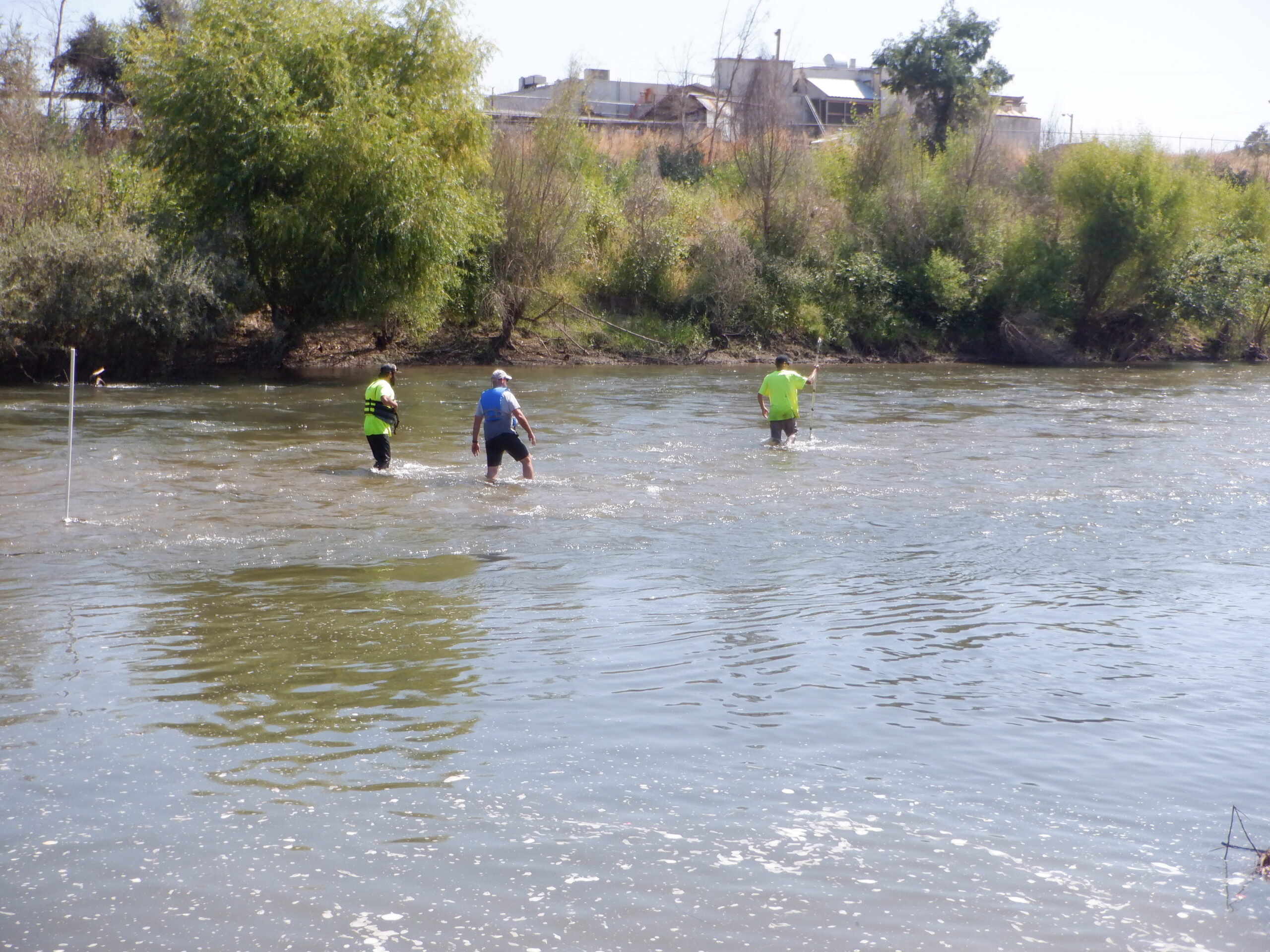 Tuolumne River Regional Park Modesto, CA 2023