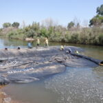 Tuolumne River Regional Park Modesto, CA 2023