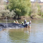 Tuolumne River Regional Park Modesto, CA 2023