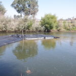 Tuolumne River Regional Park Modesto, CA 2023