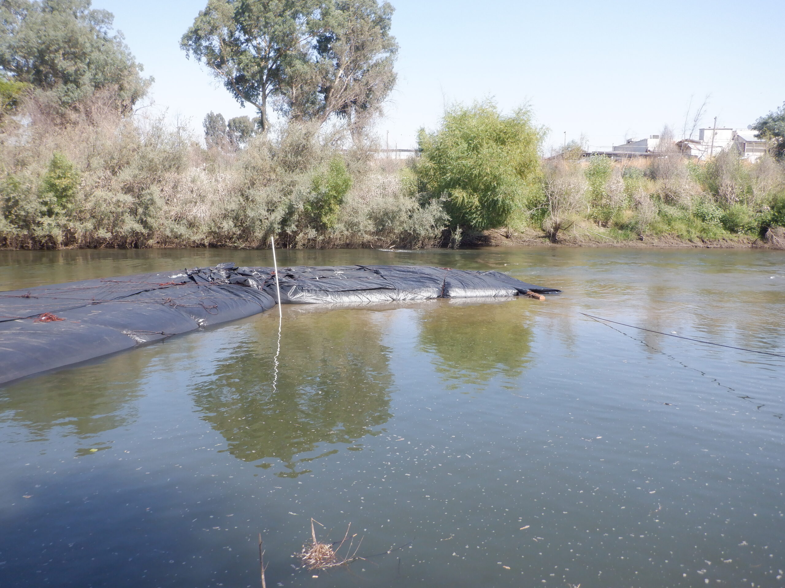 Tuolumne River Regional Park Modesto, CA 2023