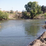 Tuolumne River Regional Park Modesto, CA 2023