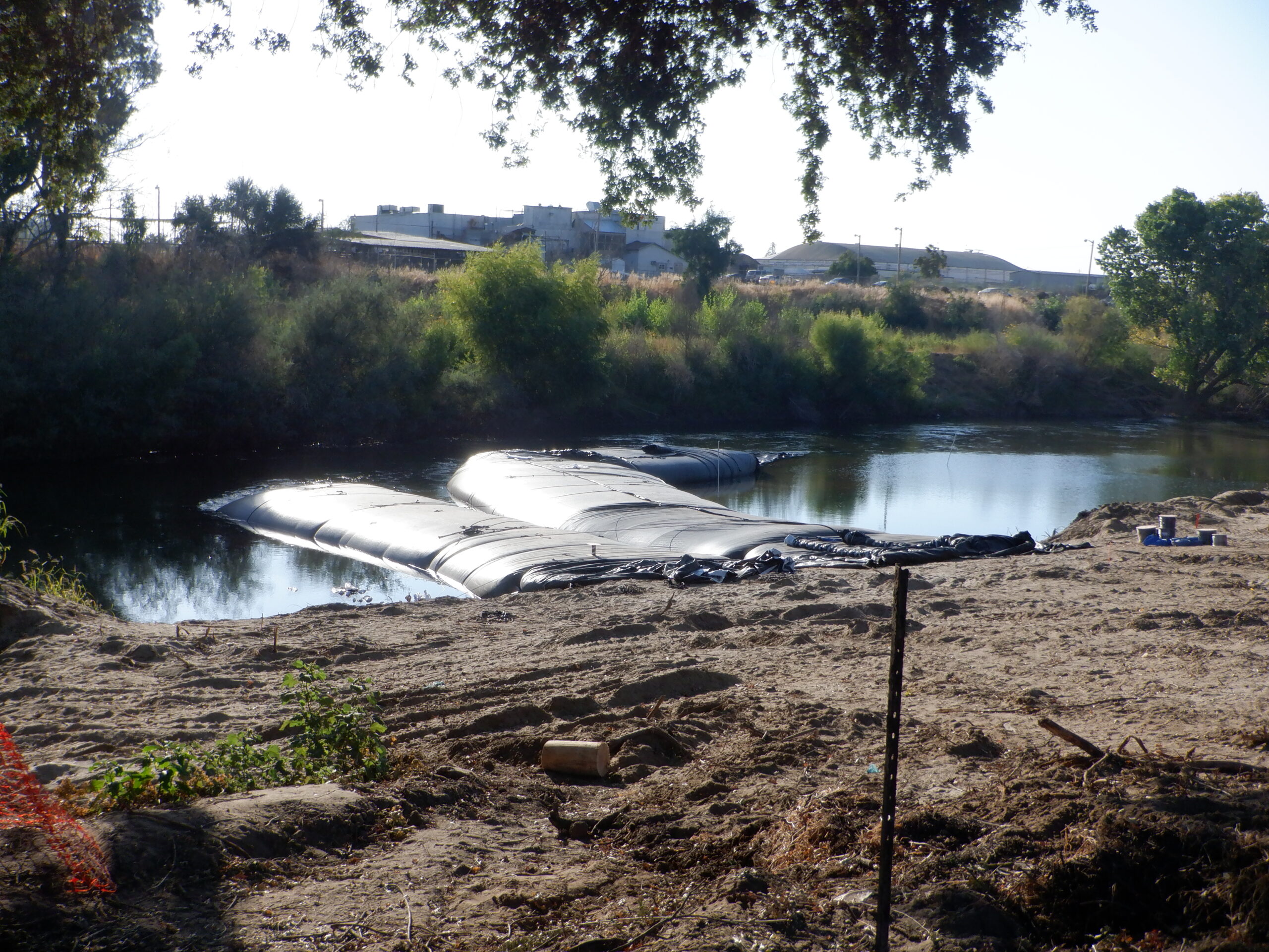 Tuolumne River Regional Park Modesto, CA 2023