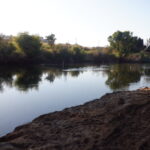 Tuolumne River Regional Park Modesto, CA 2023