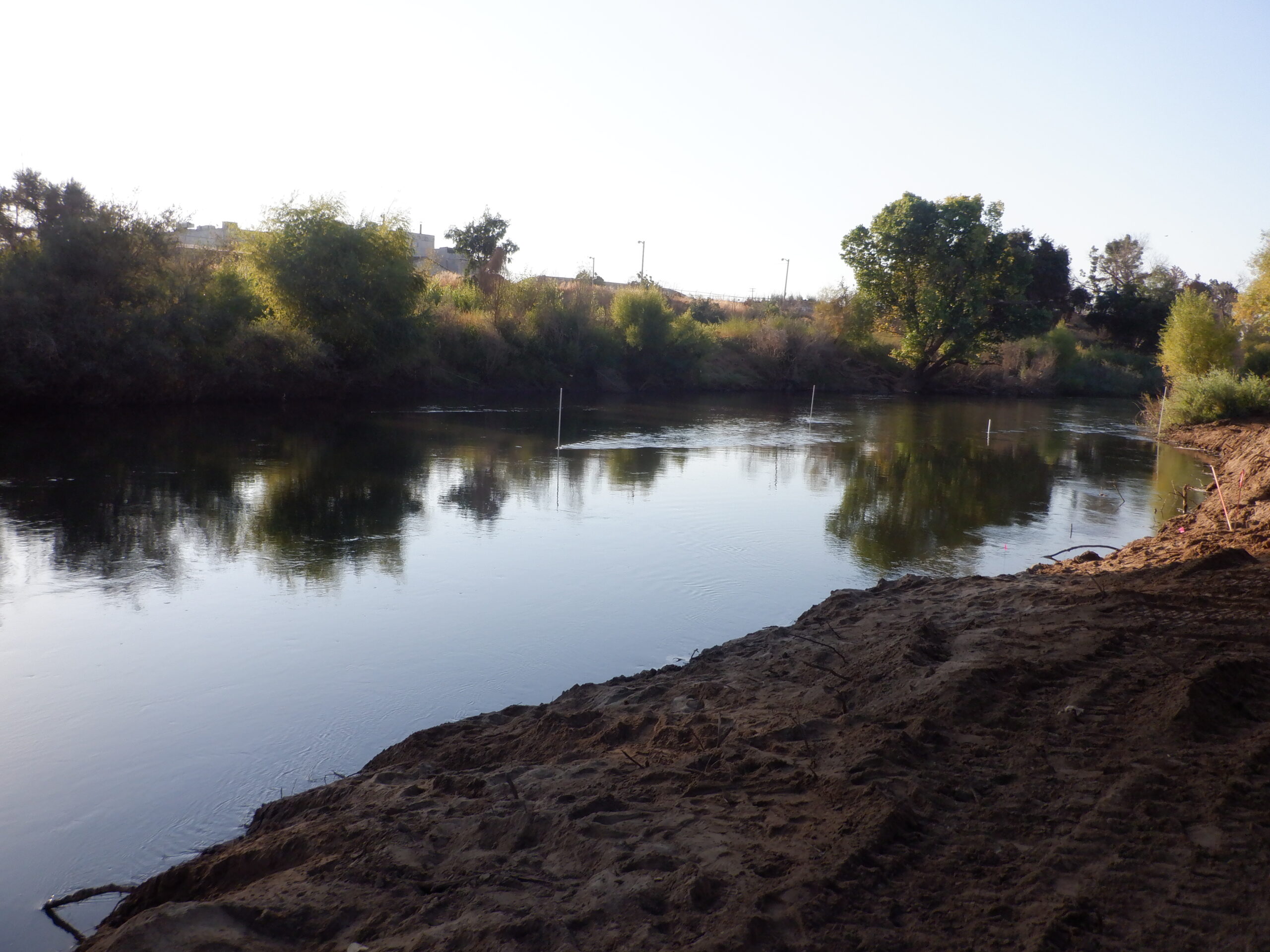 Tuolumne River Regional Park Modesto, CA 2023