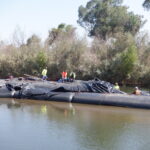 Tuolumne River Regional Park Modesto, CA 2023