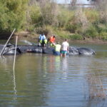 Tuolumne River Regional Park Modesto, CA 2023