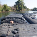 Tuolumne River Regional Park Modesto, CA 2023