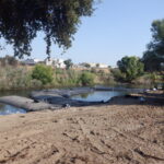 Tuolumne River Regional Park Modesto, CA 2023