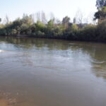 Tuolumne River Regional Park Modesto, CA 2023