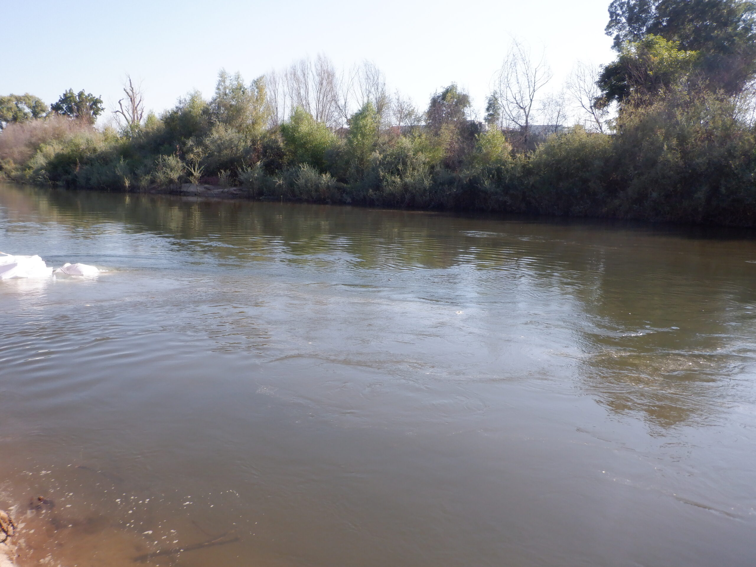 Tuolumne River Regional Park Modesto, CA 2023