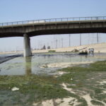 LA River – Los Angeles, CA 2009