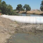 Natomas Main Drainage Canal – Sacramento, CA 2004