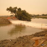 Natomas Main Drainage Canal – Sacramento, CA 2004