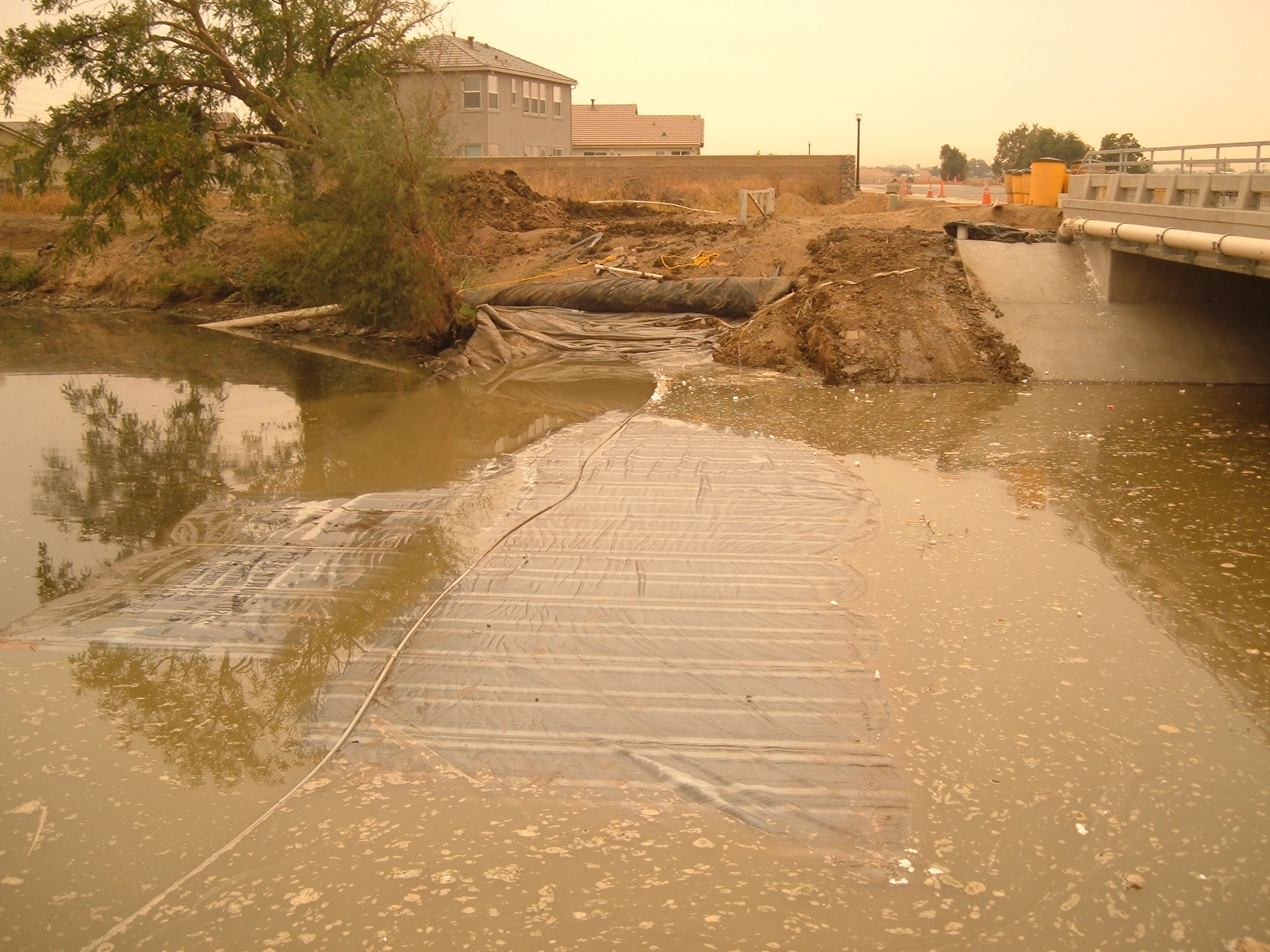 Natomas Main Drainage Canal – Sacramento, CA 2004