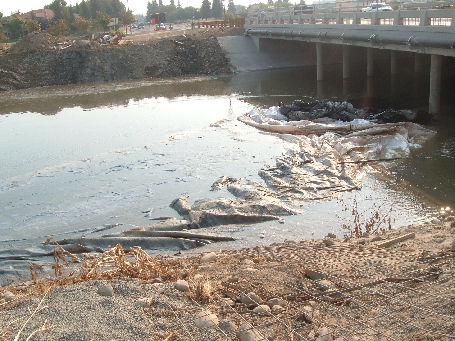 Natomas Main Drainage Canal – Sacramento, CA 2004