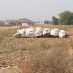 Natomas Main Drainage Canal – Sacramento, CA 2004