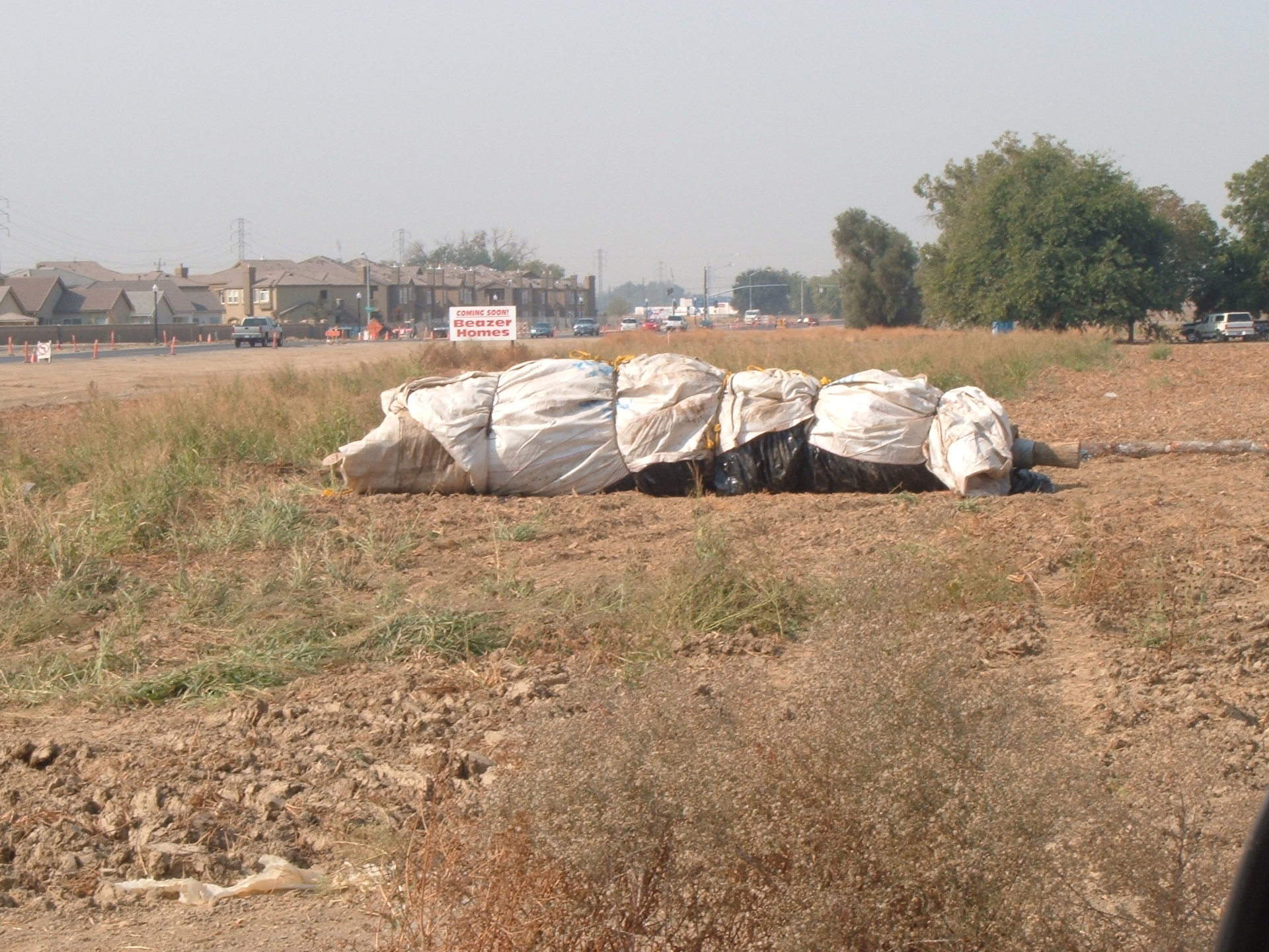 Natomas Main Drainage Canal – Sacramento, CA 2004