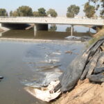 Natomas Main Drainage Canal – Sacramento, CA 2004