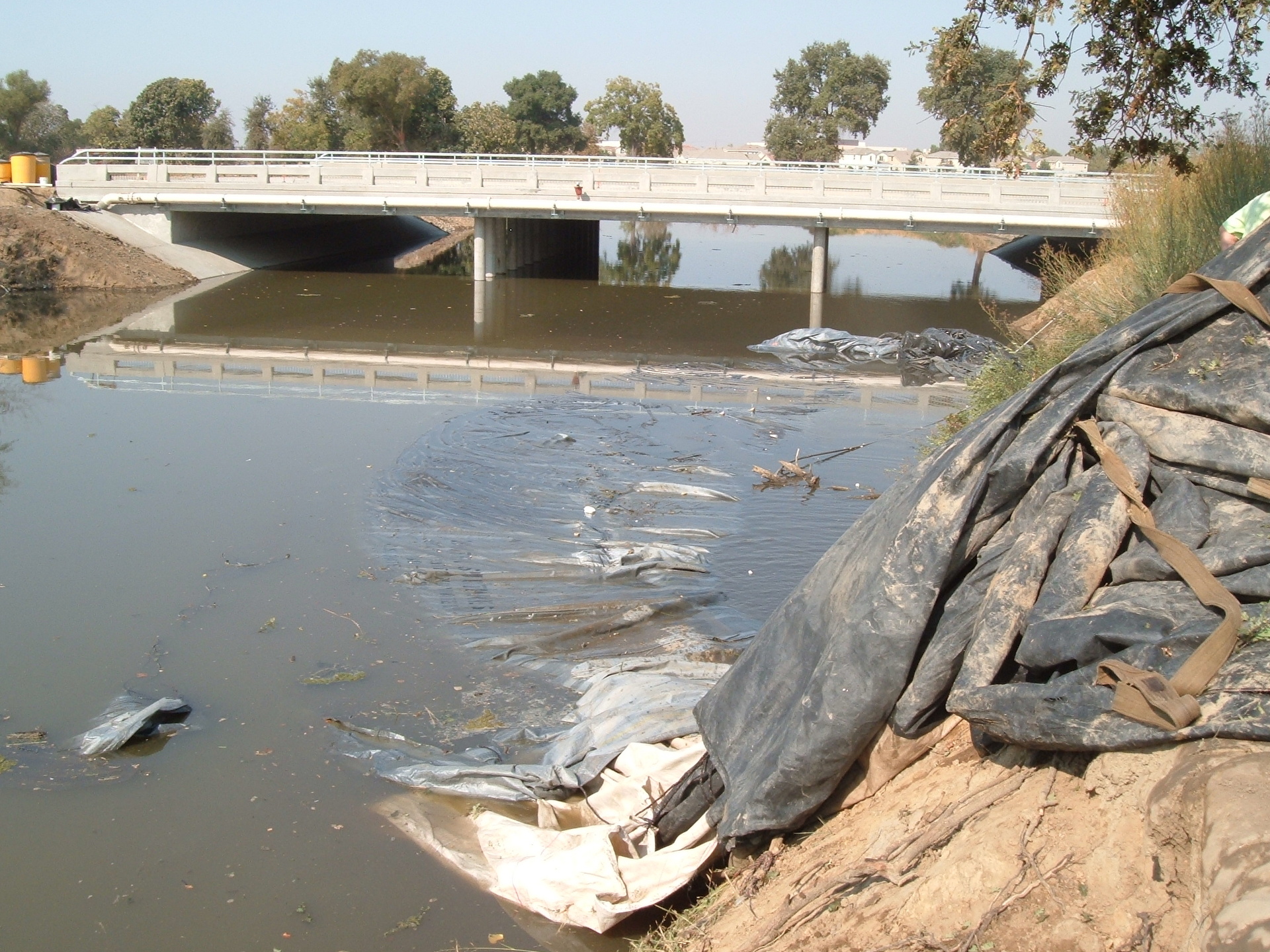 Natomas Main Drainage Canal – Sacramento, CA 2004