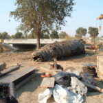 Natomas Main Drainage Canal – Sacramento, CA 2004