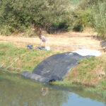 Weir Isolation – Fairview, OR 2004