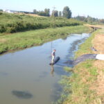 Weir Isolation – Fairview, OR 2004