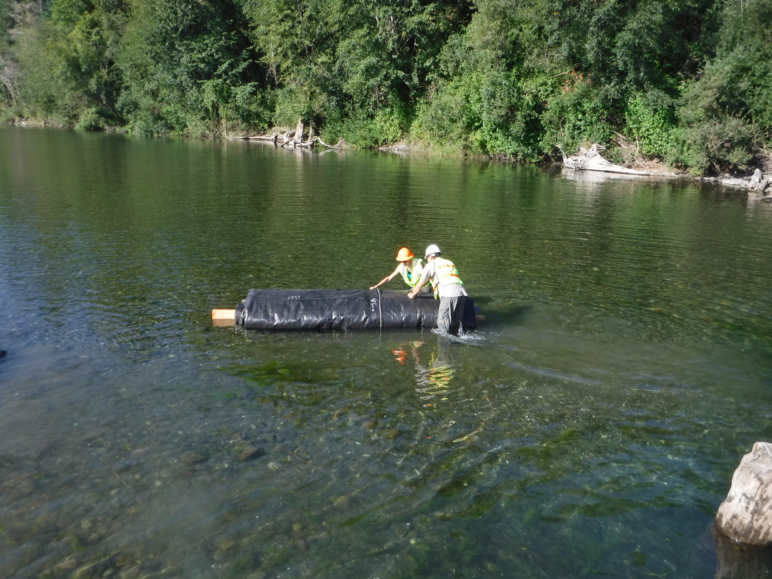 Eel River – Holmes Flat, CA 2016