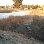 Natomas Main Drainage Canal – Sacramento, CA 2004