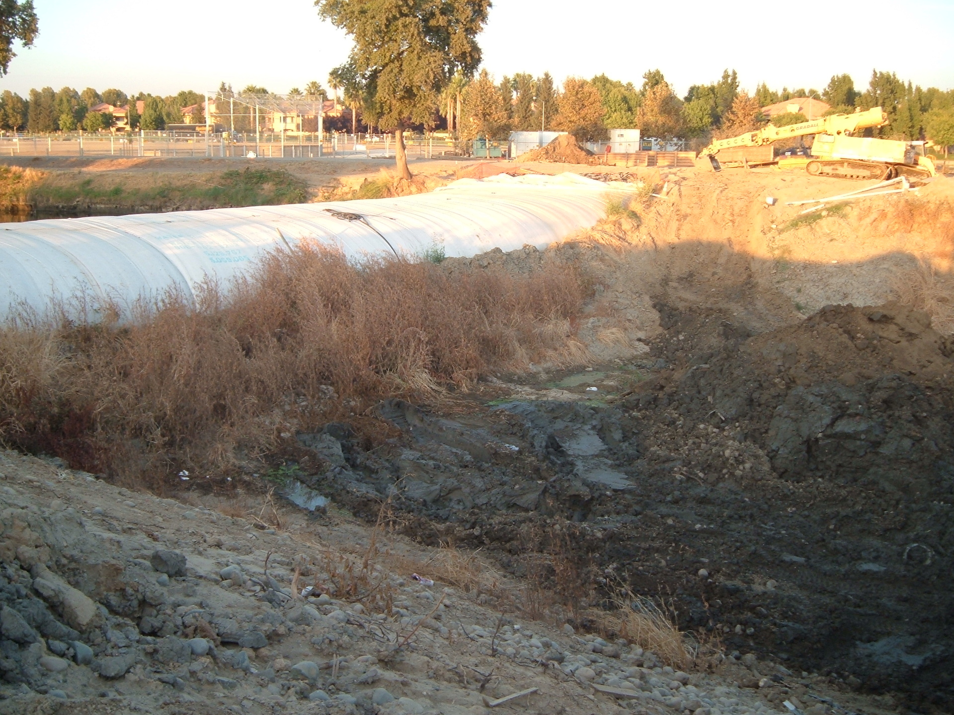 Natomas Main Drainage Canal – Sacramento, CA 2004