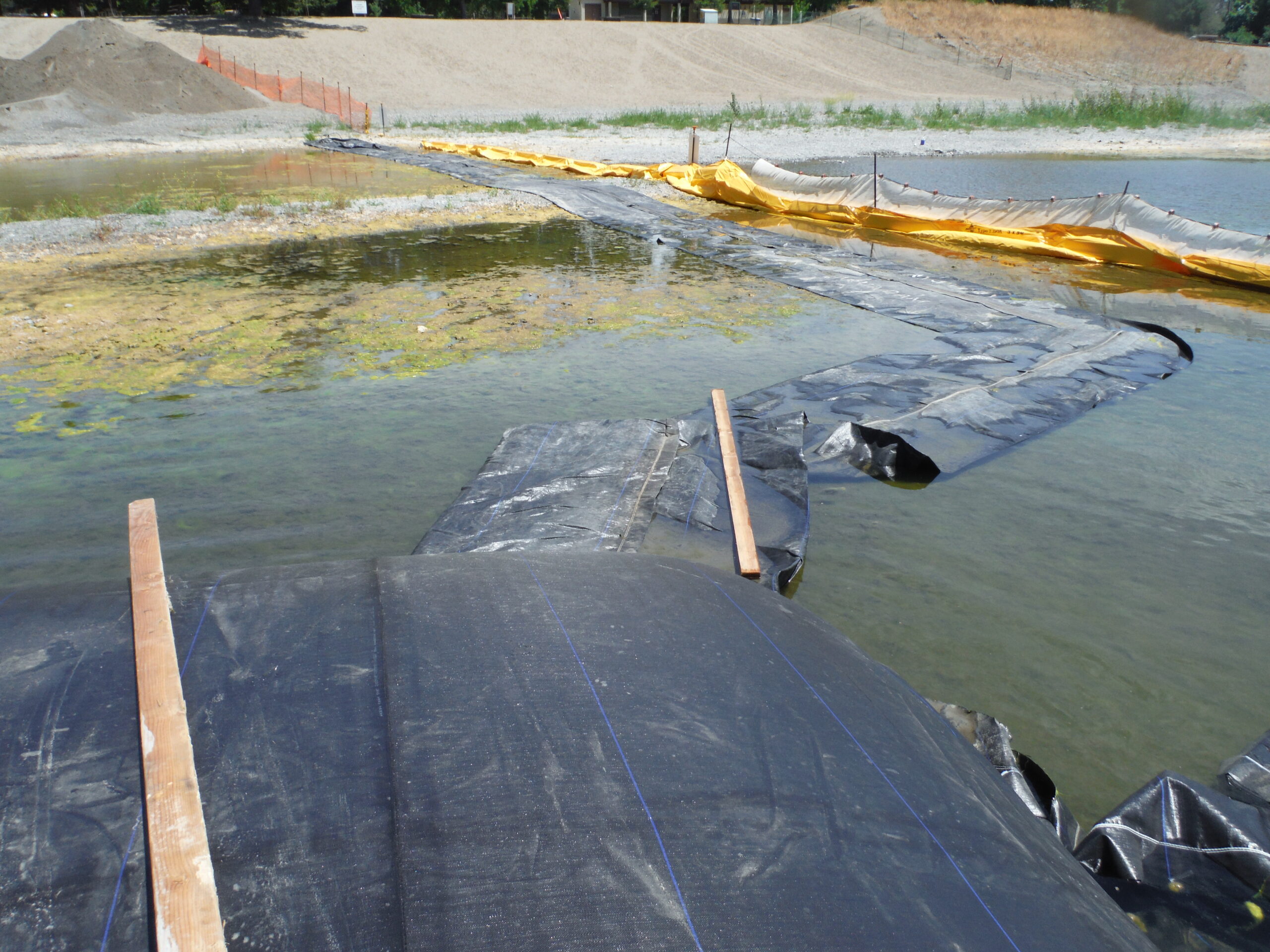 Memorial Bridge – Healdsburg, CA 2015