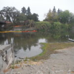 Westside Memorial Bridge – Healdsburg, CA 2014