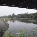 Westside Memorial Bridge – Healdsburg, CA 2014