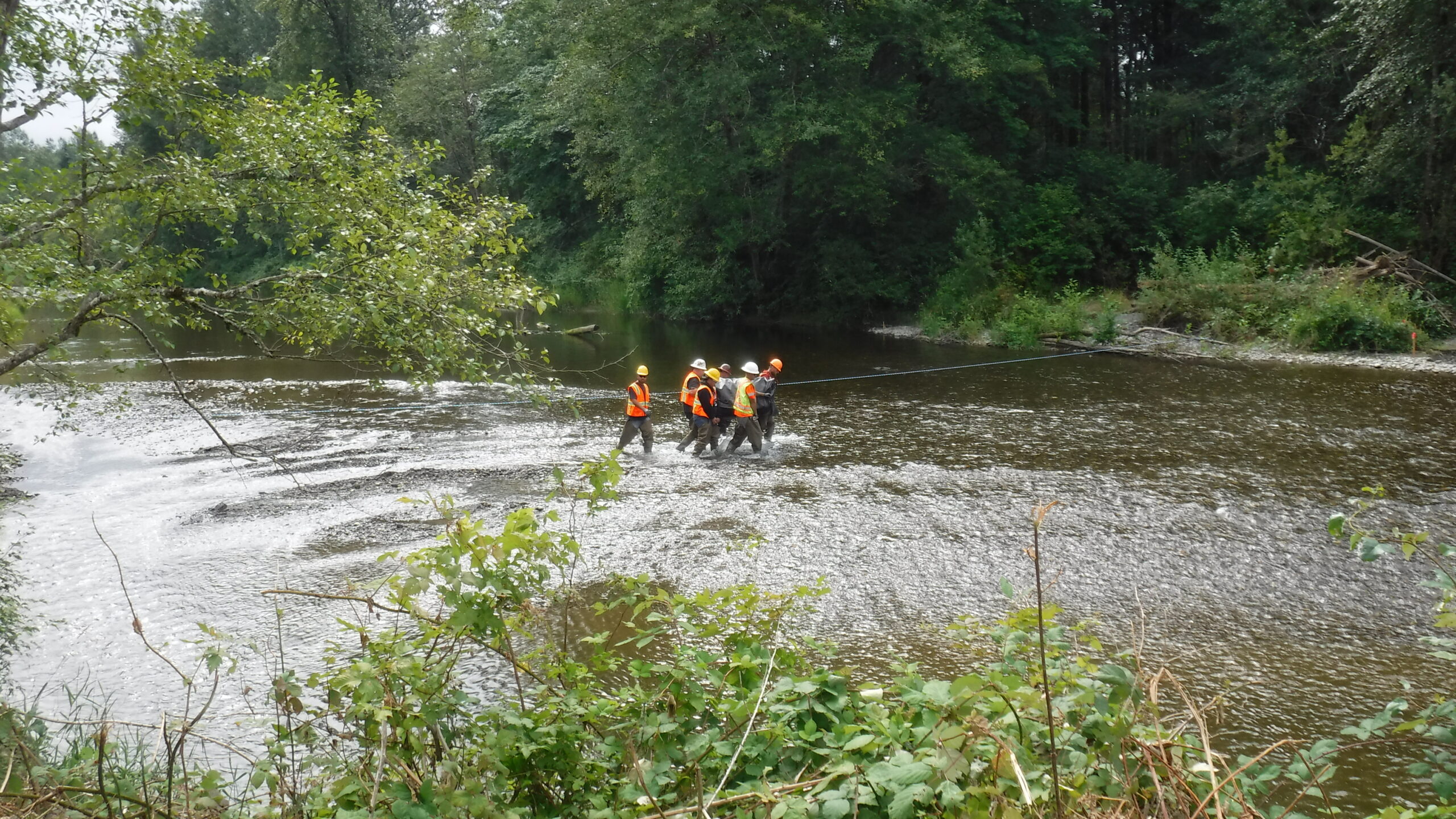 Pilchuck River – Lake Stevens, WA 2016