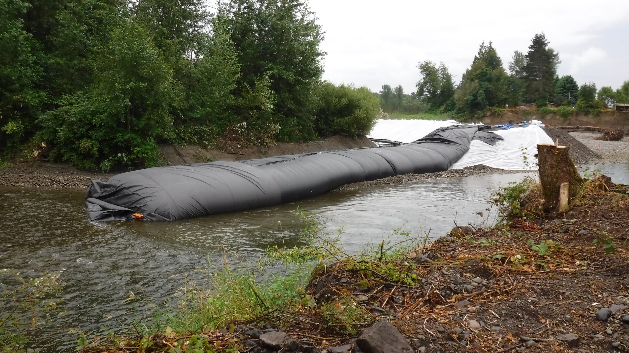 Pilchuck River – Lake Stevens, WA 2016