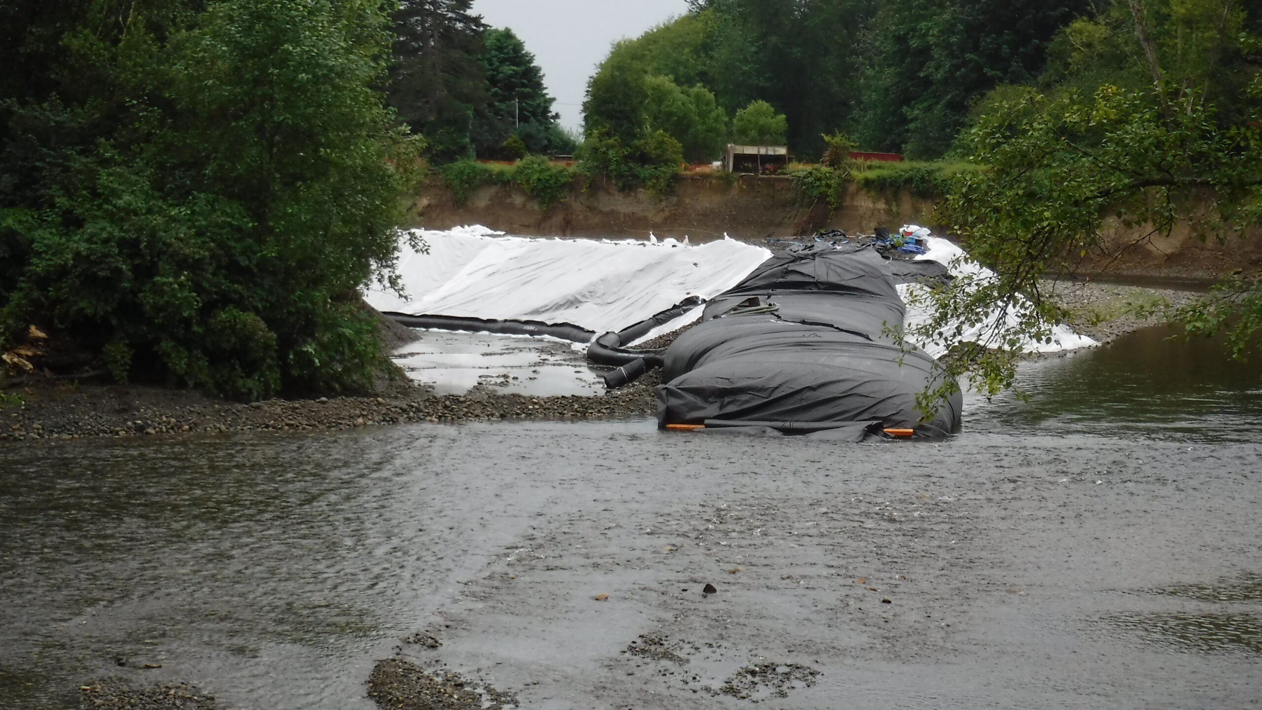 Pilchuck River – Lake Stevens, WA 2016