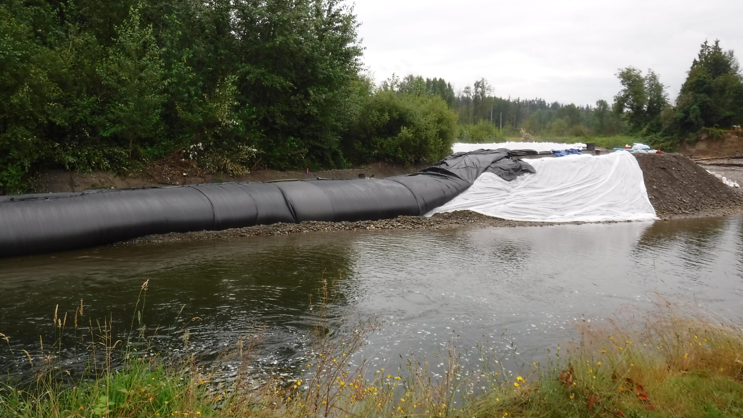 Pilchuck River – Lake Stevens, WA 2016