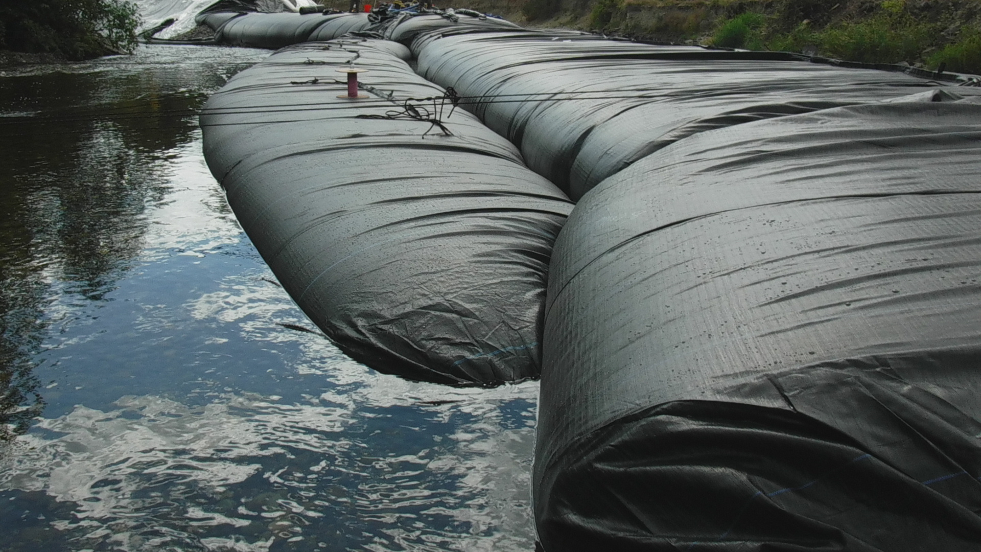 Pilchuck River – Lake Stevens, WA 2016