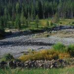 Shoshone River – Cody, WY 2013