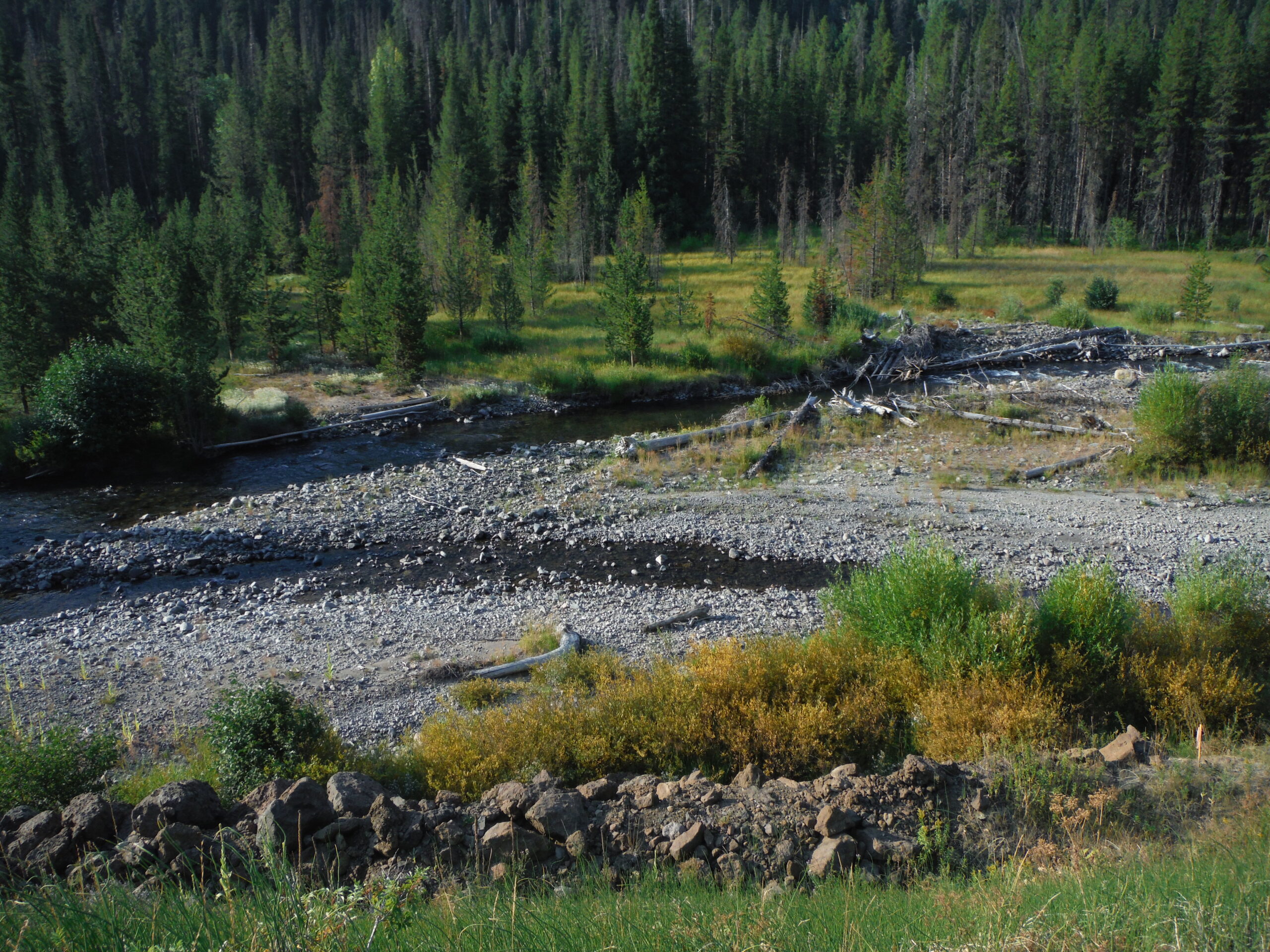 Shoshone River – Cody, WY 2013