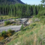 Shoshone River – Cody, WY 2013