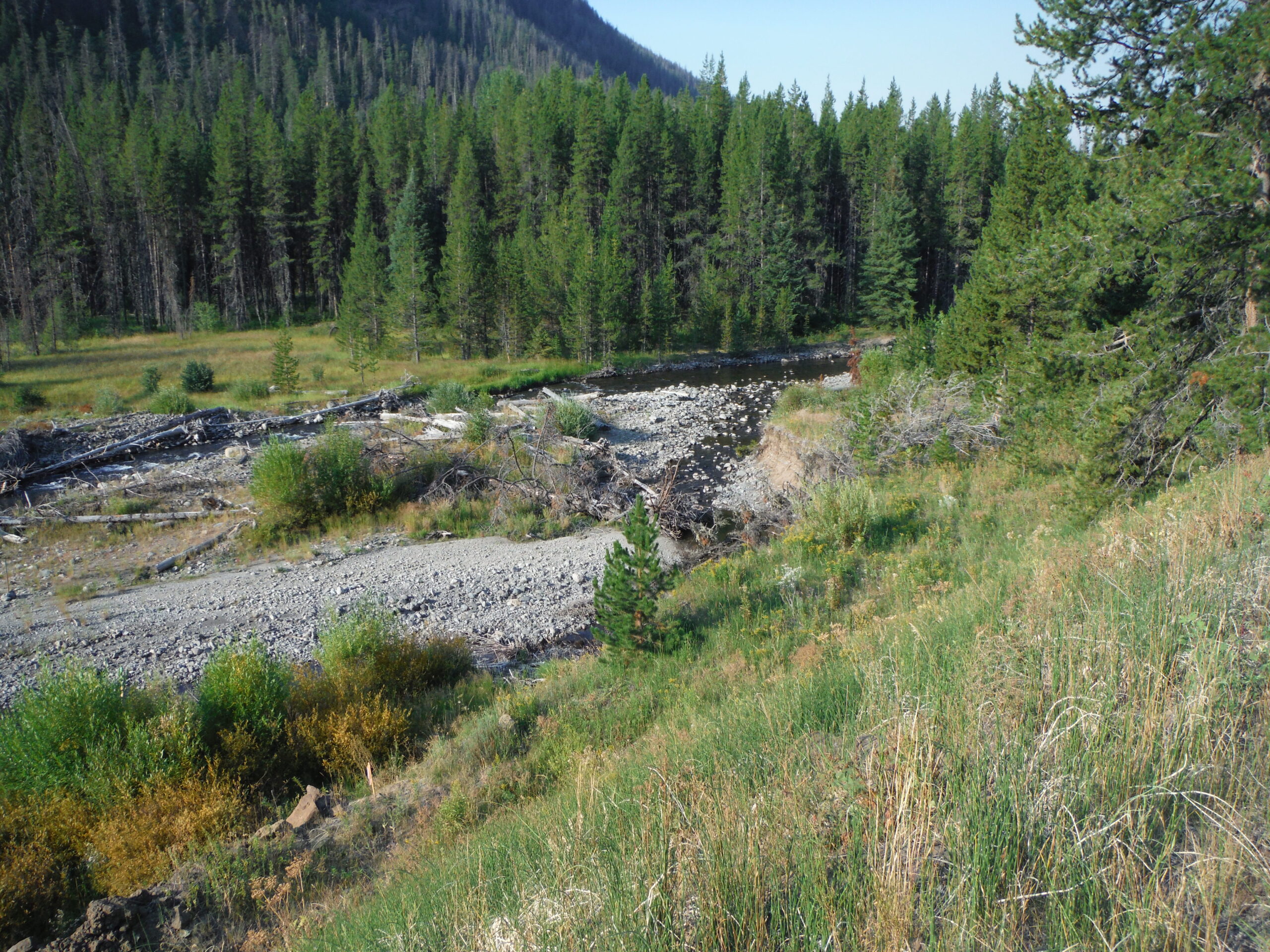 Shoshone River – Cody, WY 2013