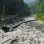 Shoshone River – Cody, WY 2013