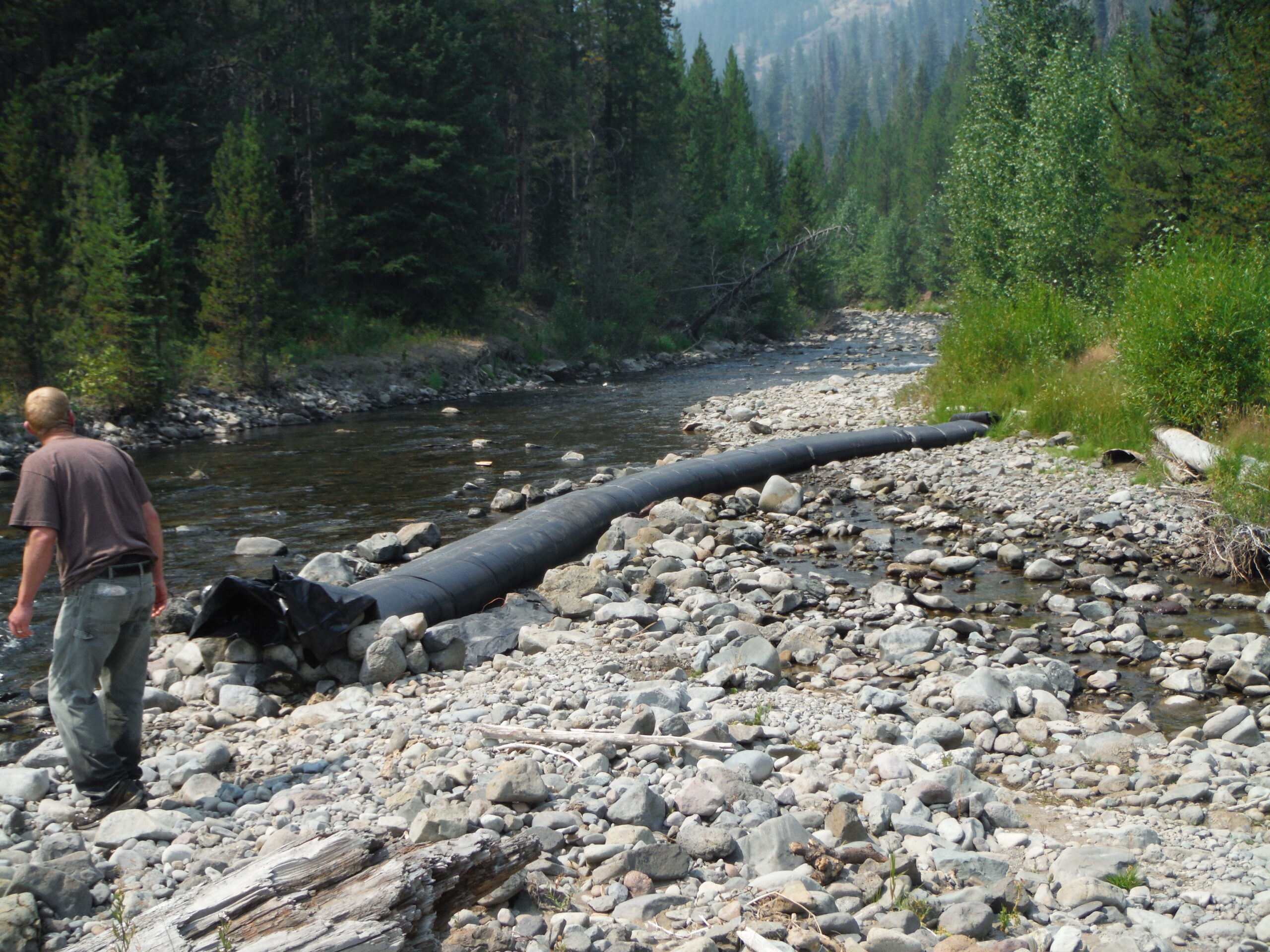 Shoshone River – Cody, WY 2013