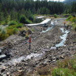 Shoshone River – Cody, WY 2013