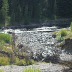 Shoshone River – Cody, WY 2013