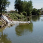 Natomas Main Drainage Canal – Sacramento, CA 2004