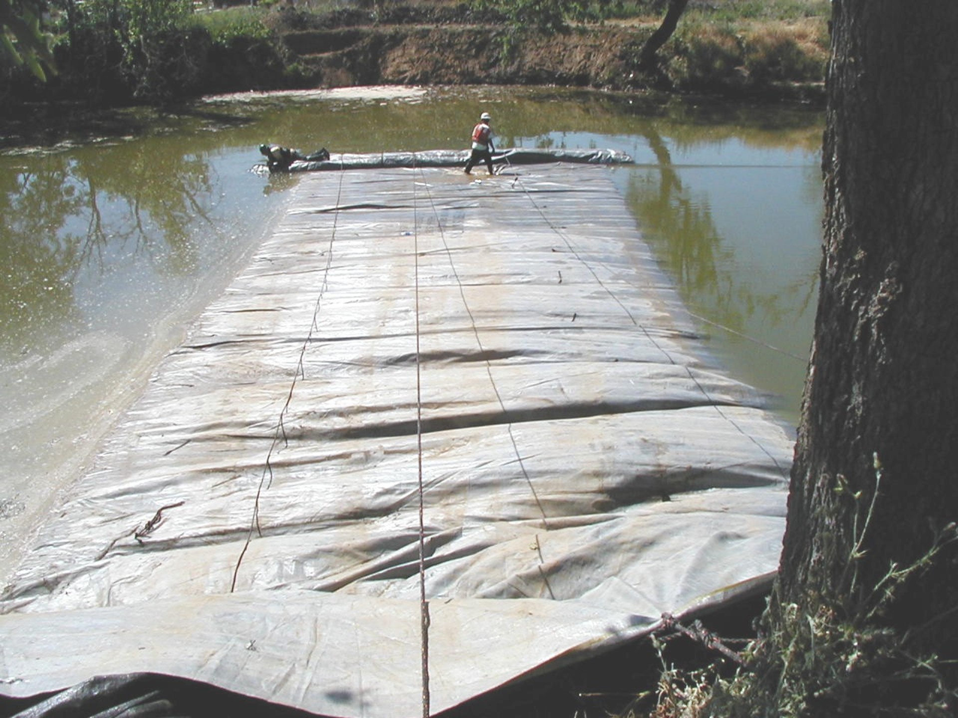 Natomas Main Drainage Canal – Sacramento, CA 2004