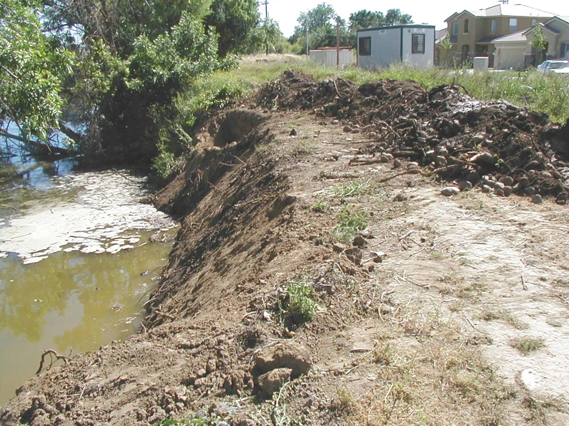 Natomas Main Drainage Canal – Sacramento, CA 2004